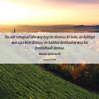 Picture 06 - Yacquub 5:15 SOM - Ducadii rumaysad lahu way bogsiin doontaa kii - Bible Verse Picture