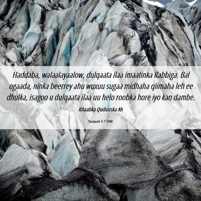 Picture 06 - Yacquub 5:7 SOM - Haddaba, walaalayaalow, dulqaata ilaa imaatinka - Bible Verse Picture