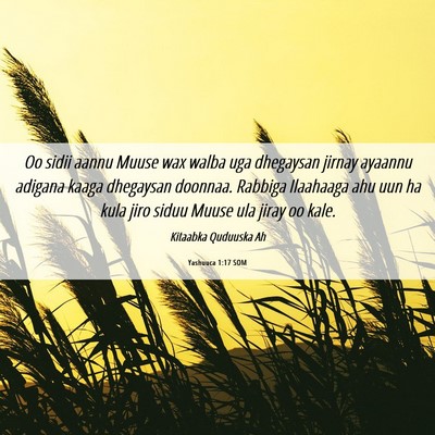 Picture 06 - Yashuuca 1:17 SOM - Oo sidii aannu Muuse wax walba uga dhegaysan - Bible Verse Picture