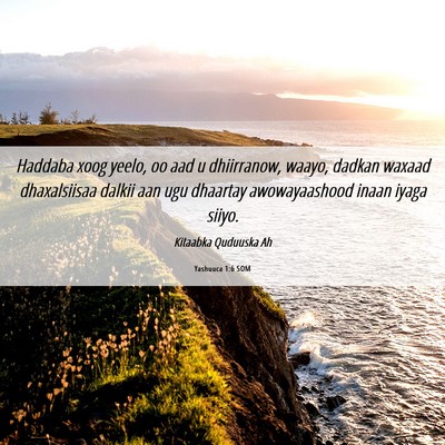 Picture 06 - Yashuuca 1:6 SOM - Haddaba xoog yeelo, oo aad u dhiirranow, waayo, - Bible Verse Picture