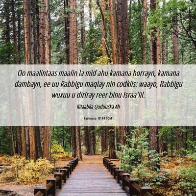 Picture 06 - Yashuuca 10:14 SOM - Oo maalintaas maalin la mid ahu kamana horrayn, - Bible Verse Picture