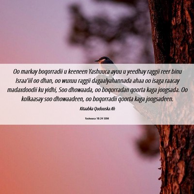 Picture 06 - Yashuuca 10:24 SOM - Oo markay boqorradii u keeneen Yashuuca ayuu u - Bible Verse Picture