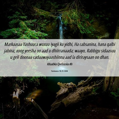 Picture 06 - Yashuuca 10:25 SOM - Markaasaa Yashuuca wuxuu iyagii ku yidhi, Ha - Bible Verse Picture