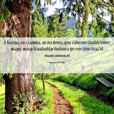Picture 06 - Yashuuca 10:4 SOM - Ii kaalaya, oo i caawiya, oo ina keena aynu - Bible Verse Picture