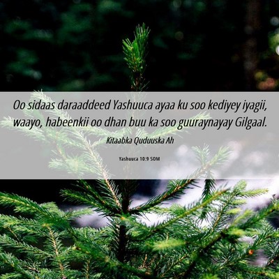 Picture 06 - Yashuuca 10:9 SOM - Oo sidaas daraaddeed Yashuuca ayaa ku soo kediyey - Bible Verse Picture