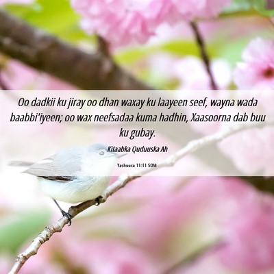 Picture 06 - Yashuuca 11:11 SOM - Oo dadkii ku jiray oo dhan waxay ku laayeen seef, - Bible Verse Picture