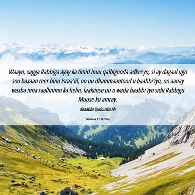 Picture 06 - Yashuuca 11:20 SOM - Waayo, xagga Rabbiga ayay ka timid inuu - Bible Verse Picture