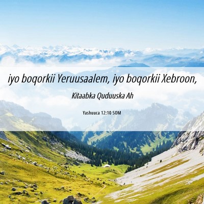 Picture 06 - Yashuuca 12:10 SOM - iyo boqorkii Yeruusaalem, iyo boqorkii - Bible Verse Picture