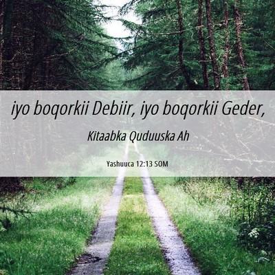 Picture 06 - Yashuuca 12:13 SOM - iyo boqorkii Debiir, iyo boqorkii - Bible Verse Picture