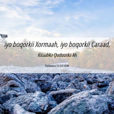 Picture 06 - Yashuuca 12:14 SOM - iyo boqorkii Xormaah, iyo boqorkii - Bible Verse Picture