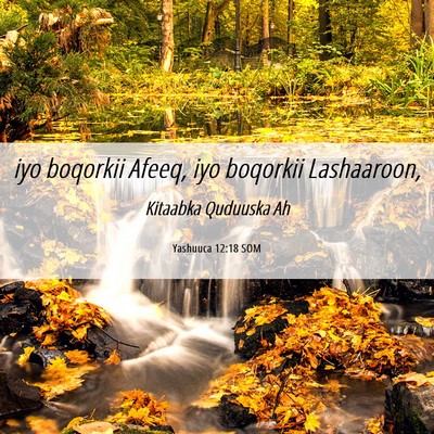 Picture 06 - Yashuuca 12:18 SOM - iyo boqorkii Afeeq, iyo boqorkii - Bible Verse Picture