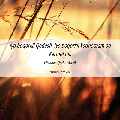Picture 06 - Yashuuca 12:22 SOM - iyo boqorkii Qedesh, iyo boqorkii Yoqnecaam oo - Bible Verse Picture