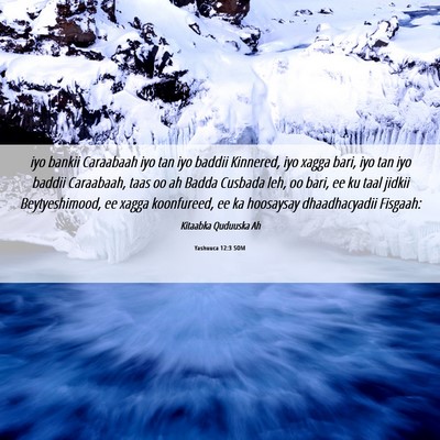 Picture 06 - Yashuuca 12:3 SOM - iyo bankii Caraabaah iyo tan iyo baddii Kinnered, - Bible Verse Picture