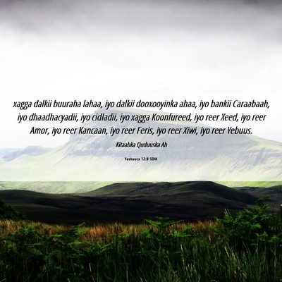 Picture 06 - Yashuuca 12:8 SOM - xagga dalkii buuraha lahaa, iyo dalkii - Bible Verse Picture