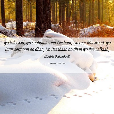 Picture 06 - Yashuuca 13:11 SOM - iyo Gilecaad, iyo soohdinta reer Geshuur, iyo - Bible Verse Picture