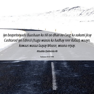 Picture 06 - Yashuuca 13:12 SOM - iyo boqortooyadii Baashaan ku tiil oo dhan oo - Bible Verse Picture