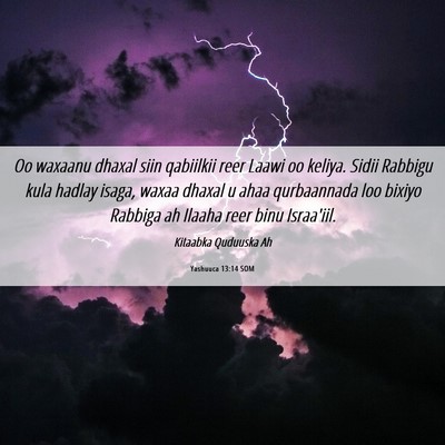 Picture 06 - Yashuuca 13:14 SOM - Oo waxaanu dhaxal siin qabiilkii reer Laawi oo - Bible Verse Picture
