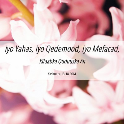Picture 06 - Yashuuca 13:18 SOM - iyo Yahas, iyo Qedemood, iyo - Bible Verse Picture