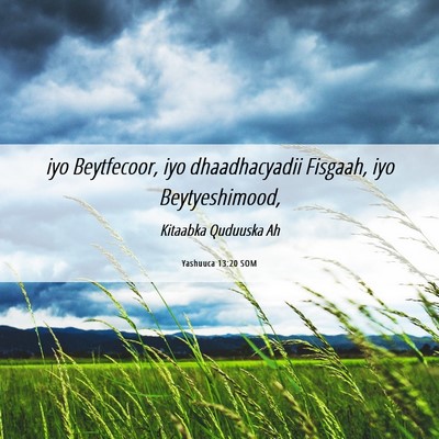Picture 06 - Yashuuca 13:20 SOM - iyo Beytfecoor, iyo dhaadhacyadii Fisgaah, iyo - Bible Verse Picture
