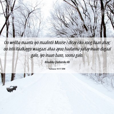 Picture 06 - Yashuuca 14:11 SOM - Oo weliba maanta iyo maalintii Muuse i diray isku - Bible Verse Picture