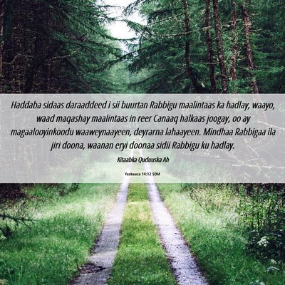 Picture 06 - Yashuuca 14:12 SOM - Haddaba sidaas daraaddeed i sii buurtan Rabbigu - Bible Verse Picture