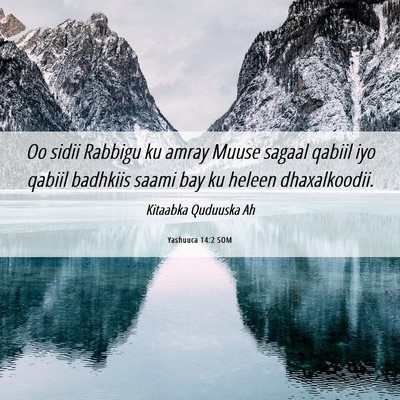 Picture 06 - Yashuuca 14:2 SOM - Oo sidii Rabbigu ku amray Muuse sagaal qabiil iyo - Bible Verse Picture