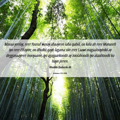 Picture 06 - Yashuuca 14:4 SOM - Maxaa yeelay, reer Yuusuf waxay ahaayeen laba - Bible Verse Picture