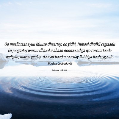 Picture 06 - Yashuuca 14:9 SOM - Oo maalintaas ayuu Muuse dhaartay, oo yidhi, - Bible Verse Picture