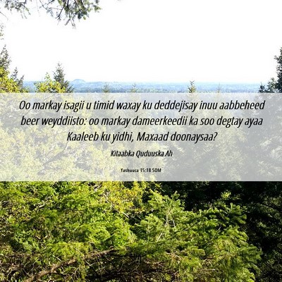 Picture 06 - Yashuuca 15:18 SOM - Oo markay isagii u timid waxay ku deddejisay inuu - Bible Verse Picture
