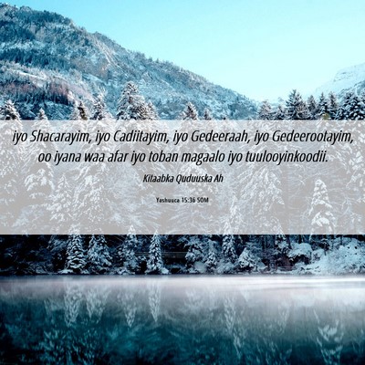 Picture 06 - Yashuuca 15:36 SOM - iyo Shacarayim, iyo Cadiitayim, iyo Gedeeraah, - Bible Verse Picture