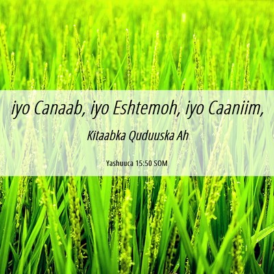Picture 06 - Yashuuca 15:50 SOM - iyo Canaab, iyo Eshtemoh, iyo - Bible Verse Picture