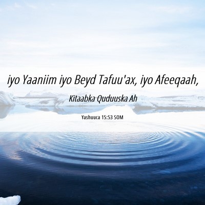 Picture 06 - Yashuuca 15:53 SOM - iyo Yaaniim iyo Beyd Tafuu'ax, iyo - Bible Verse Picture