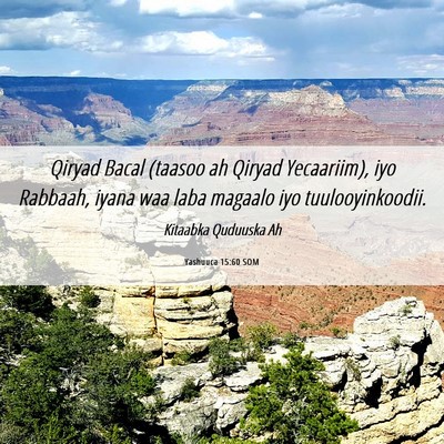 Picture 06 - Yashuuca 15:60 SOM - Qiryad Bacal (taasoo ah Qiryad Yecaariim), iyo - Bible Verse Picture