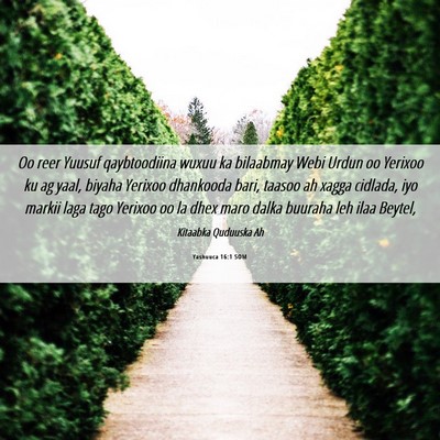 Picture 06 - Yashuuca 16:1 SOM - Oo reer Yuusuf qaybtoodiina wuxuu ka bilaabmay - Bible Verse Picture