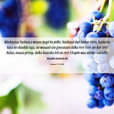 Picture 06 - Yashuuca 17:15 SOM - Markaasaa Yashuuca wuxuu iyagii ku yidhi, Haddaad - Bible Verse Picture