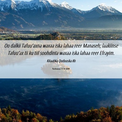 Picture 06 - Yashuuca 17:8 SOM - Oo dalkii Tafuu'axna waxaa iska lahaa reer - Bible Verse Picture