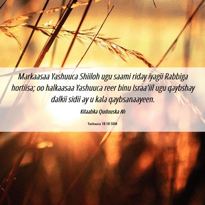 Picture 06 - Yashuuca 18:10 SOM - Markaasaa Yashuuca Shiiloh ugu saami riday iyagii - Bible Verse Picture