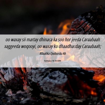 Picture 06 - Yashuuca 18:18 SOM - oo waxay sii martay dhinaca ka soo hor jeeda - Bible Verse Picture