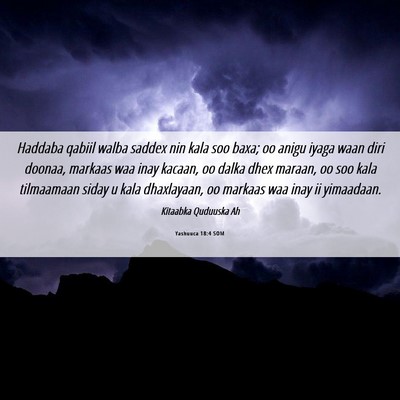 Picture 06 - Yashuuca 18:4 SOM - Haddaba qabiil walba saddex nin kala soo baxa; oo - Bible Verse Picture