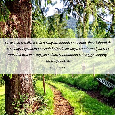 Picture 06 - Yashuuca 18:5 SOM - Oo waa inay dalka u kala qaybiyaan toddoba - Bible Verse Picture