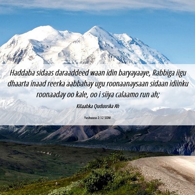 Picture 06 - Yashuuca 2:12 SOM - Haddaba sidaas daraaddeed waan idin baryayaaye, - Bible Verse Picture