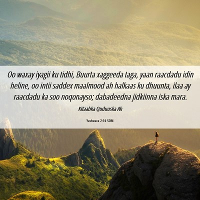Picture 06 - Yashuuca 2:16 SOM - Oo waxay iyagii ku tidhi, Buurta xaggeeda taga, - Bible Verse Picture