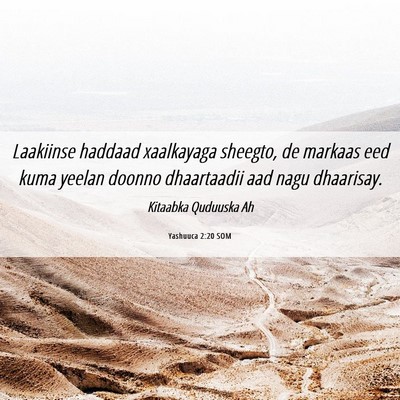 Picture 06 - Yashuuca 2:20 SOM - Laakiinse haddaad xaalkayaga sheegto, de markaas - Bible Verse Picture