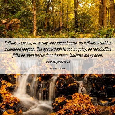 Picture 06 - Yashuuca 2:22 SOM - Kolkaasay tageen, oo waxay yimaadeen buurtii, oo - Bible Verse Picture
