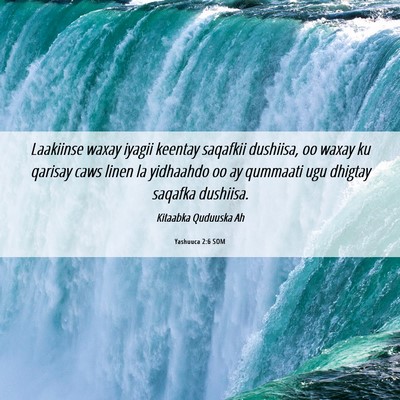 Picture 06 - Yashuuca 2:6 SOM - Laakiinse waxay iyagii keentay saqafkii dushiisa, - Bible Verse Picture