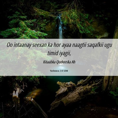 Picture 06 - Yashuuca 2:8 SOM - Oo intaanay seexan ka hor ayaa naagtii saqafkii - Bible Verse Picture