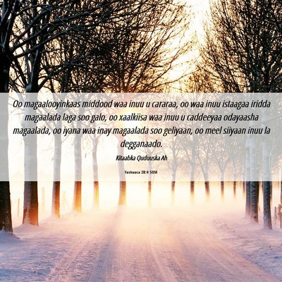 Picture 06 - Yashuuca 20:4 SOM - Oo magaalooyinkaas middood waa inuu u cararaa, oo - Bible Verse Picture