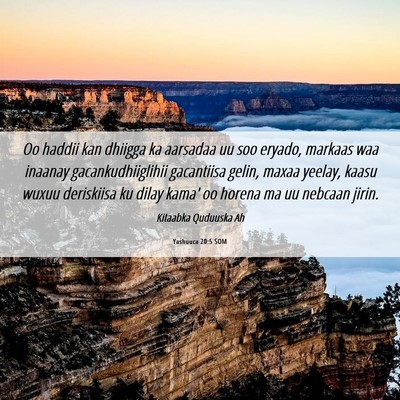 Picture 06 - Yashuuca 20:5 SOM - Oo haddii kan dhiigga ka aarsadaa uu soo eryado, - Bible Verse Picture