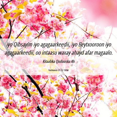 Picture 06 - Yashuuca 21:22 SOM - iyo Qibsayim iyo agagaarkeedii, iyo Beytxooroon - Bible Verse Picture
