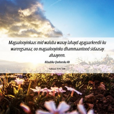 Picture 06 - Yashuuca 21:42 SOM - Magaalooyinkaas mid waluba waxay lahayd - Bible Verse Picture